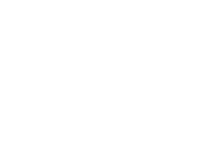 Lina Perfect Stitch custom embroidery and tailoring logo
